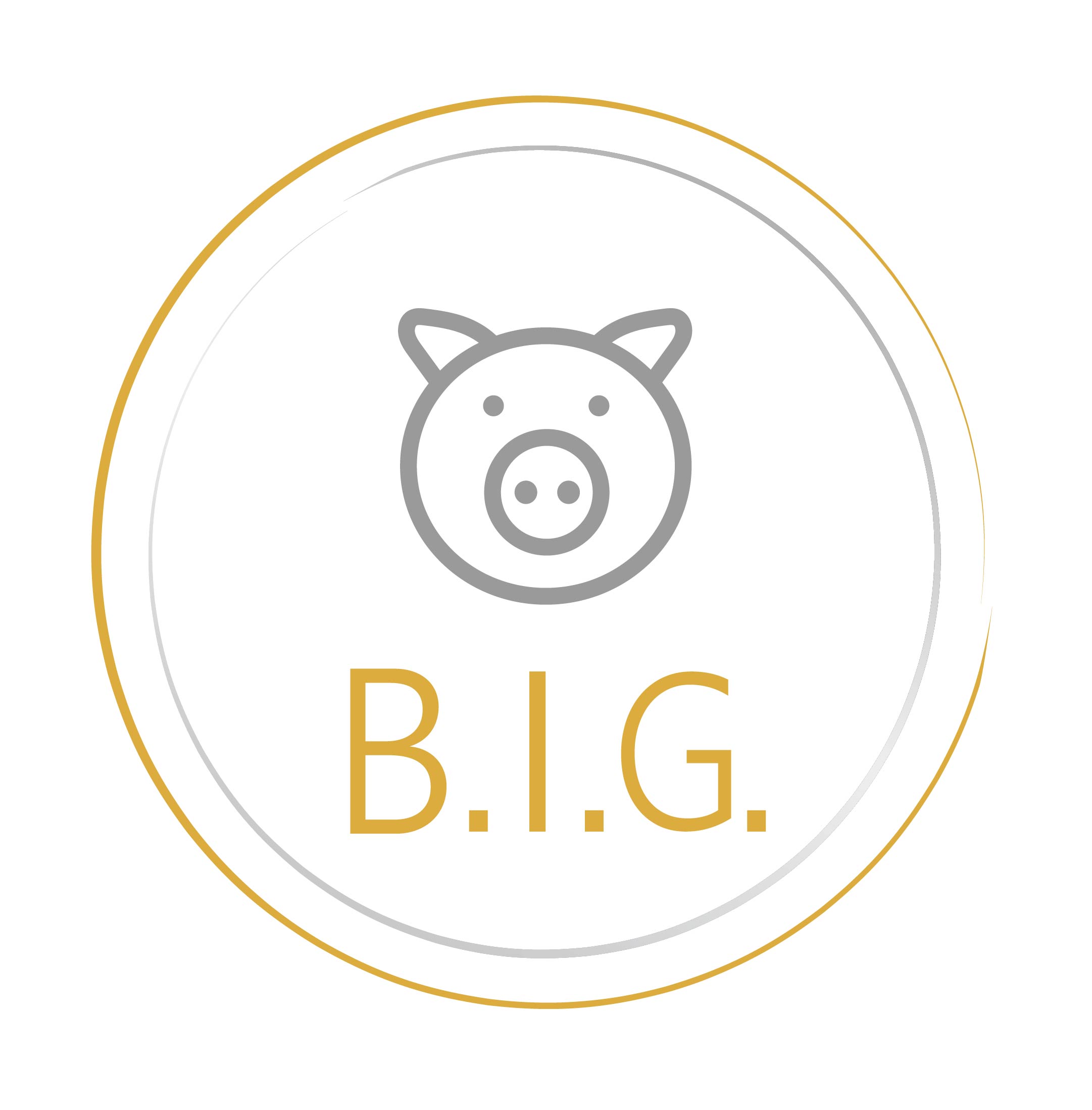 BIG Analyse logo